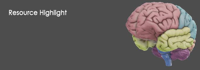 3d brain app wont rotate in android