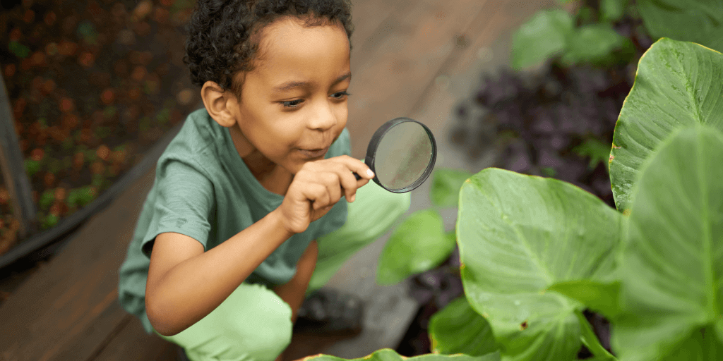 child inspecting garden