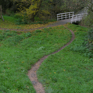 A path that has been created by foot traffic through grass leading to a small bridge.